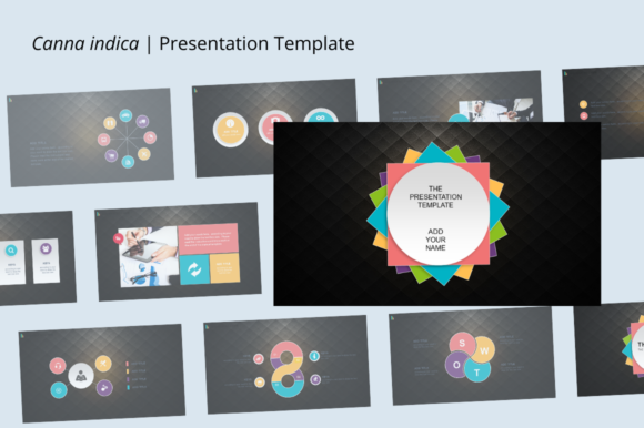 Canna Indica: A Versatile Template for Modern Creatives